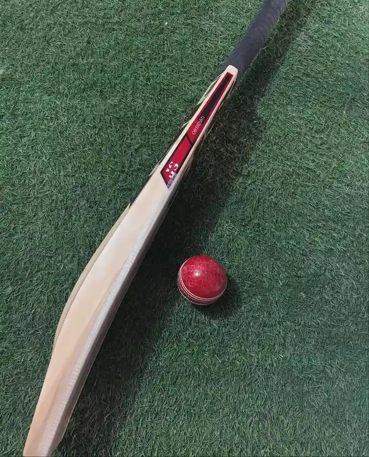 Bat Handle