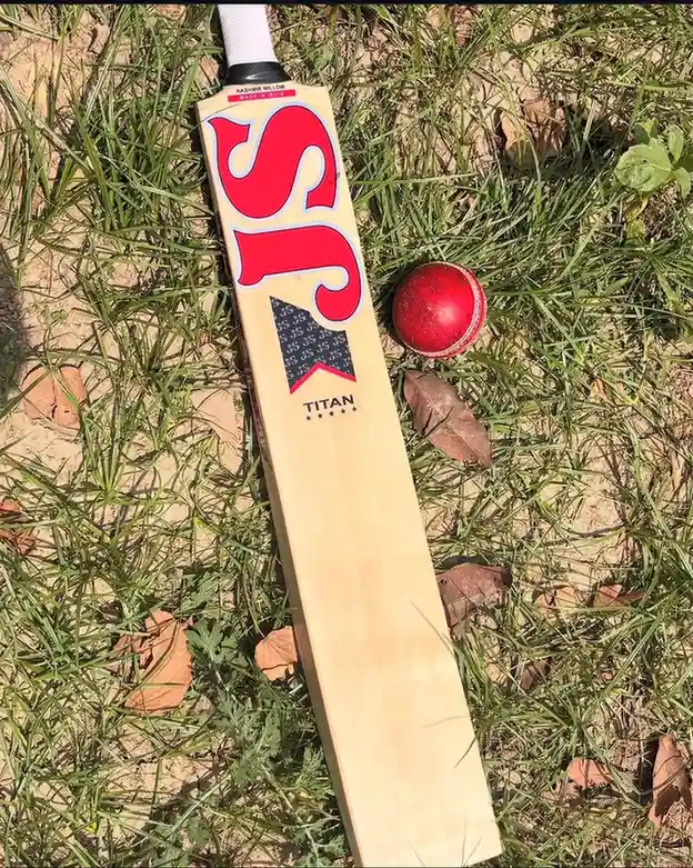 Bat Handle