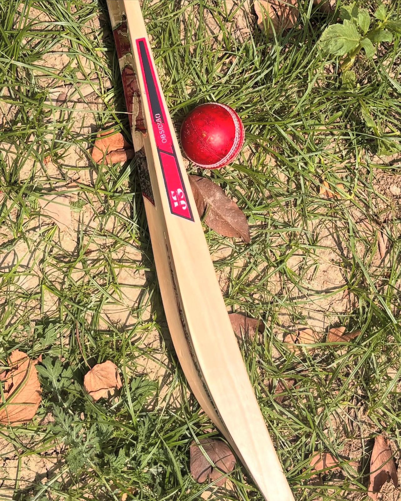 Bat Handle